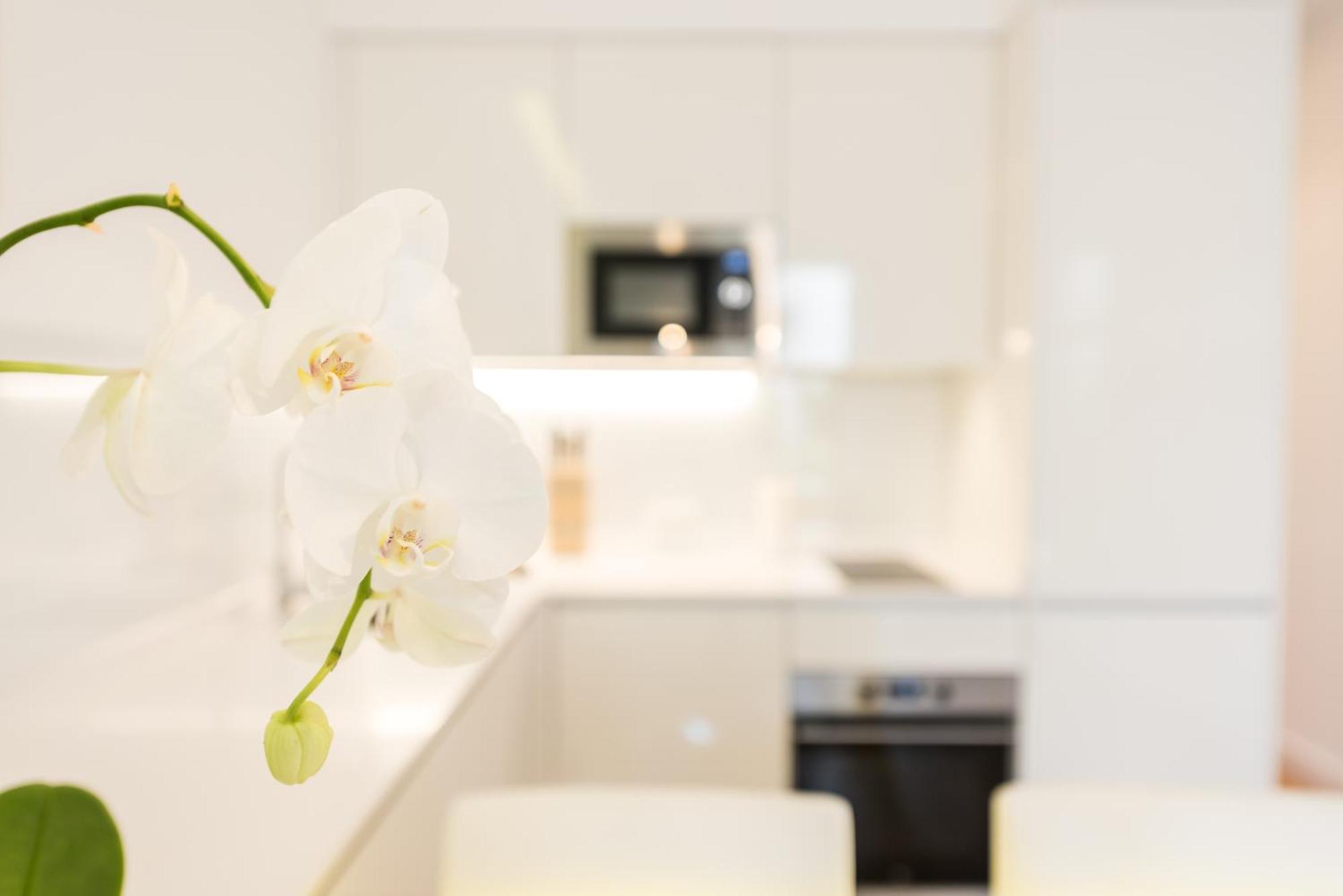 Malasana Plaza Apartment Madrid Bagian luar foto